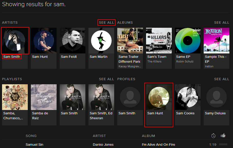 Spotify Web Player