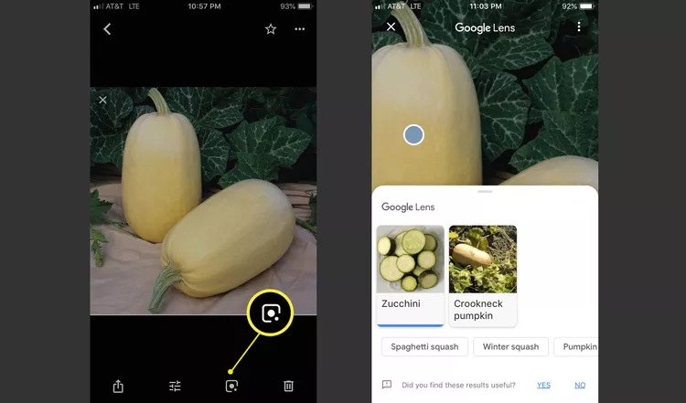 How to Use Google Lens on iPhone and iPad