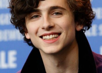 Timothée Chalamet Biography: Age, Birthday, Parents, Siblings, Girlfriend, Children, Nationality, Career, Net Worth