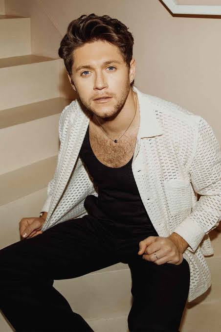 Niall Horan photo 