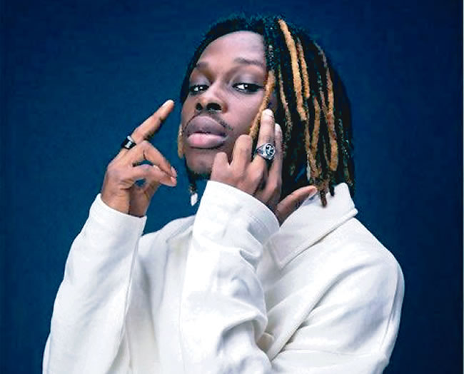 Fireboy DML photo 